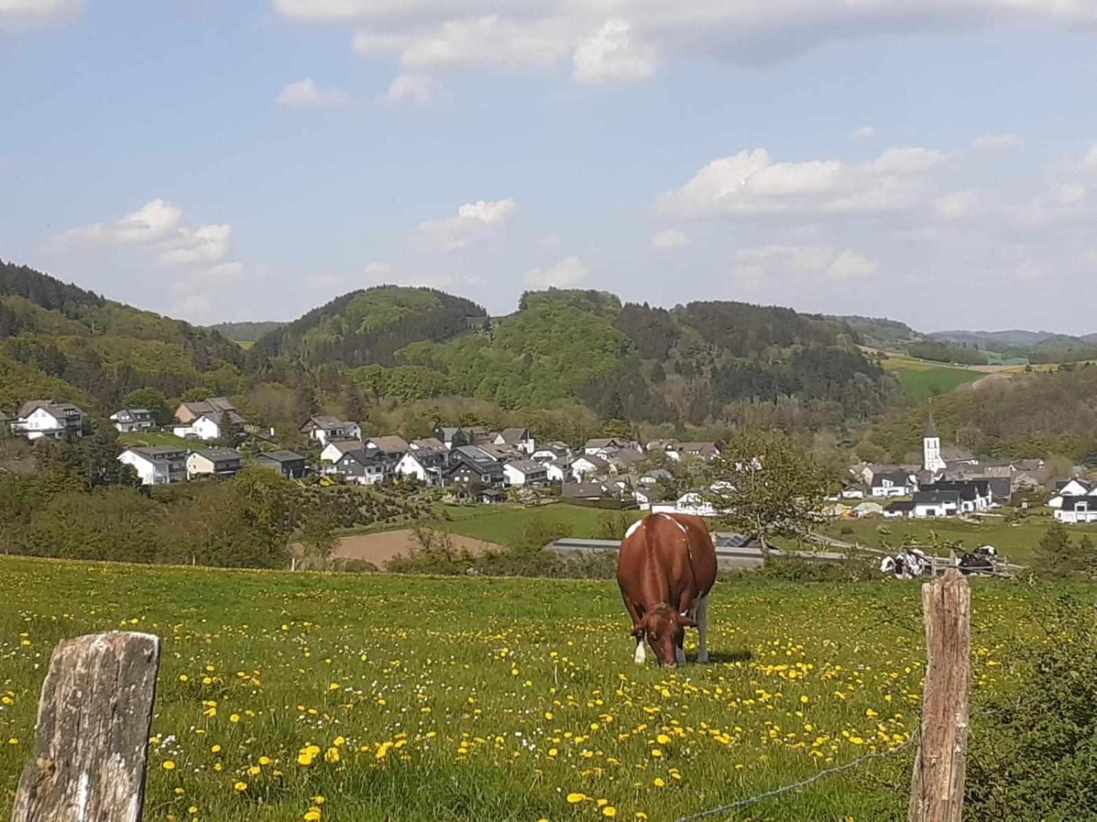 Ferienwohnungen Sternenhimmel Whg 1 メーデバッハ エクステリア 写真